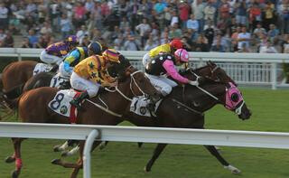 Beauty Generation picked up his second feature-race win in 3 weeks in the Group 2 Sha Tin Trophy. Photo: Hong Kong Jockey Club. 